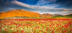 CASTELLUCCIO DI NORCIA